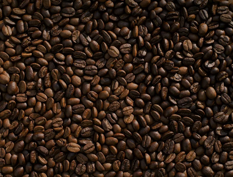 Grano tostado a granel