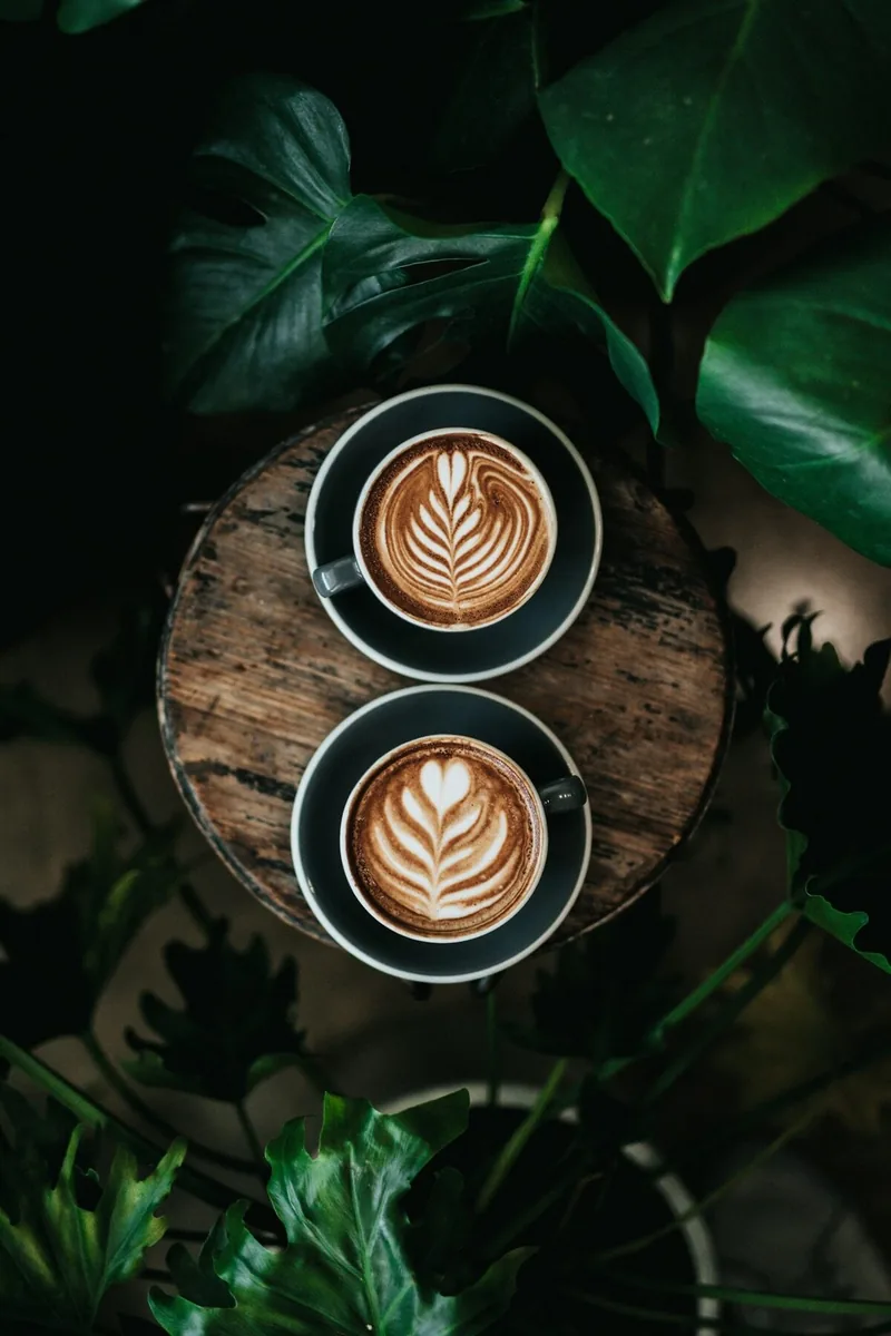 Tazas entre hojas de cafeto